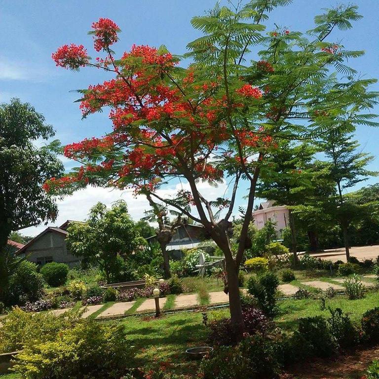 Xuanmai Garden Resort Pakse Exteriér fotografie