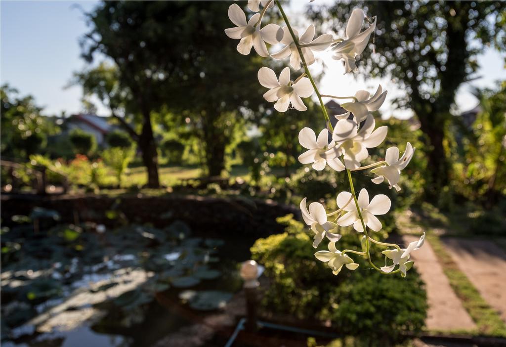 Xuanmai Garden Resort Pakse Exteriér fotografie